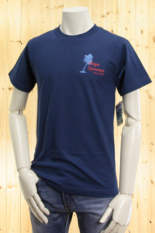 waikiki dreramin tee